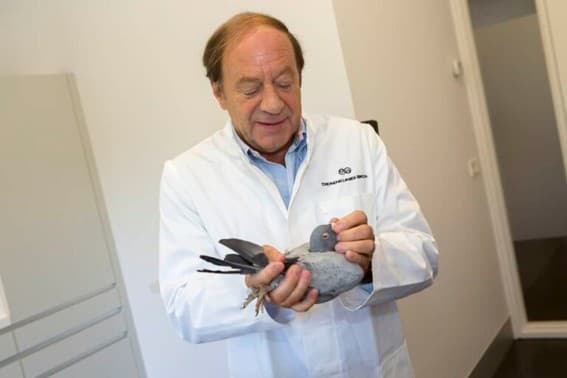 Drs. H.J.M. de Weerd